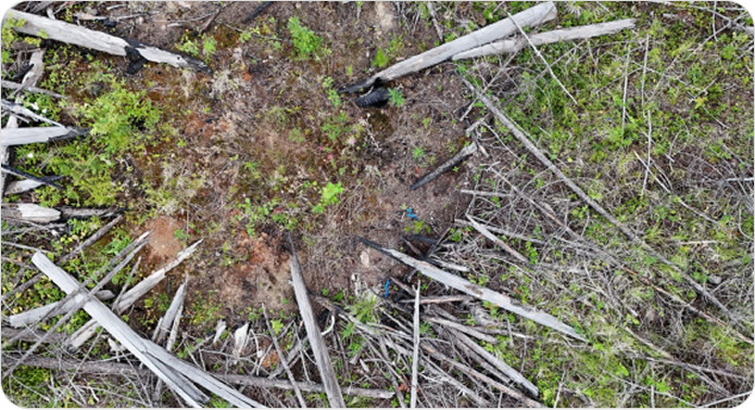 Opening Screen (1) 5